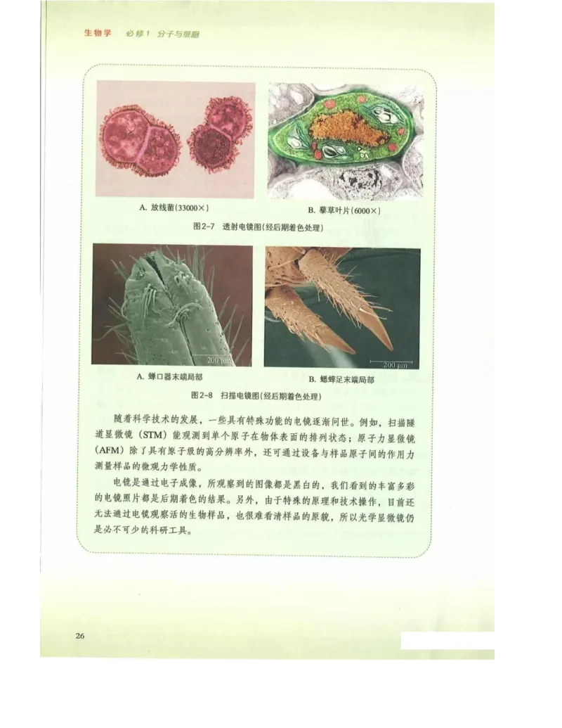 新浙科版高中生物必修1《分子与细胞》_高中电子课本_最新版高中全科高清电子课本_6高中生物课本_2019新人教版