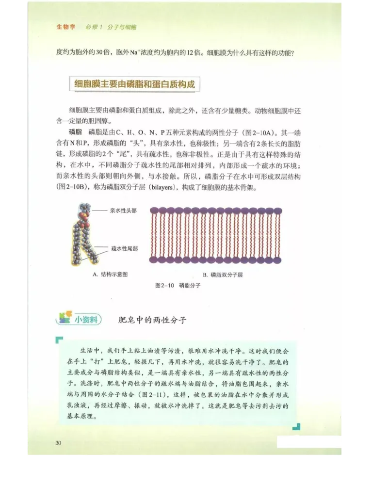 新浙科版高中生物必修1《分子与细胞》_高中电子课本_最新版高中全科高清电子课本_6高中生物课本_2019新人教版