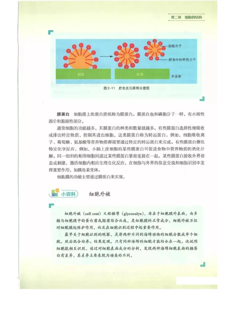 新浙科版高中生物必修1《分子与细胞》_高中电子课本_最新版高中全科高清电子课本_6高中生物课本_2019新人教版