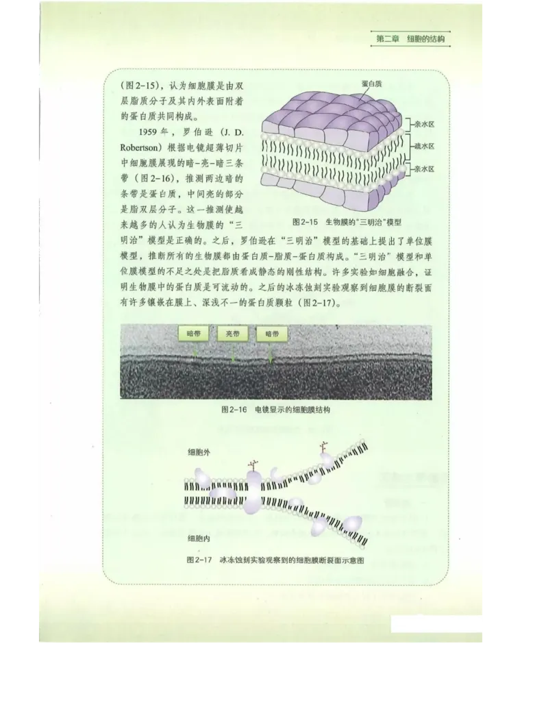 新浙科版高中生物必修1《分子与细胞》_高中电子课本_最新版高中全科高清电子课本_6高中生物课本_2019新人教版