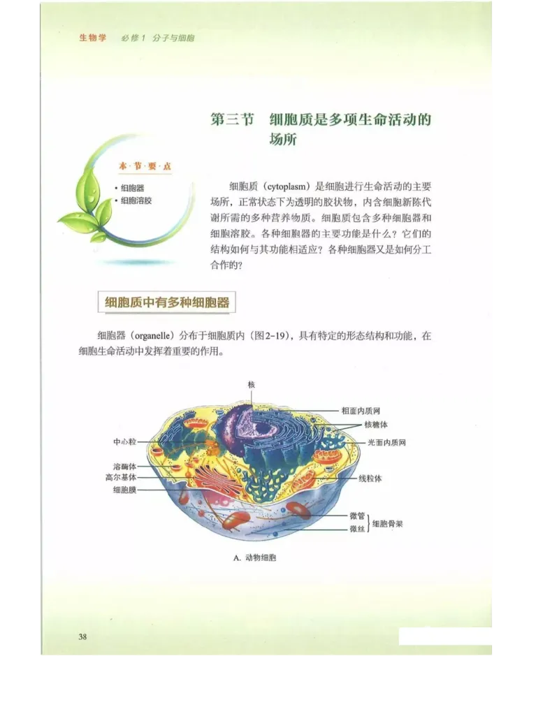 新浙科版高中生物必修1《分子与细胞》_高中电子课本_最新版高中全科高清电子课本_6高中生物课本_2019新人教版