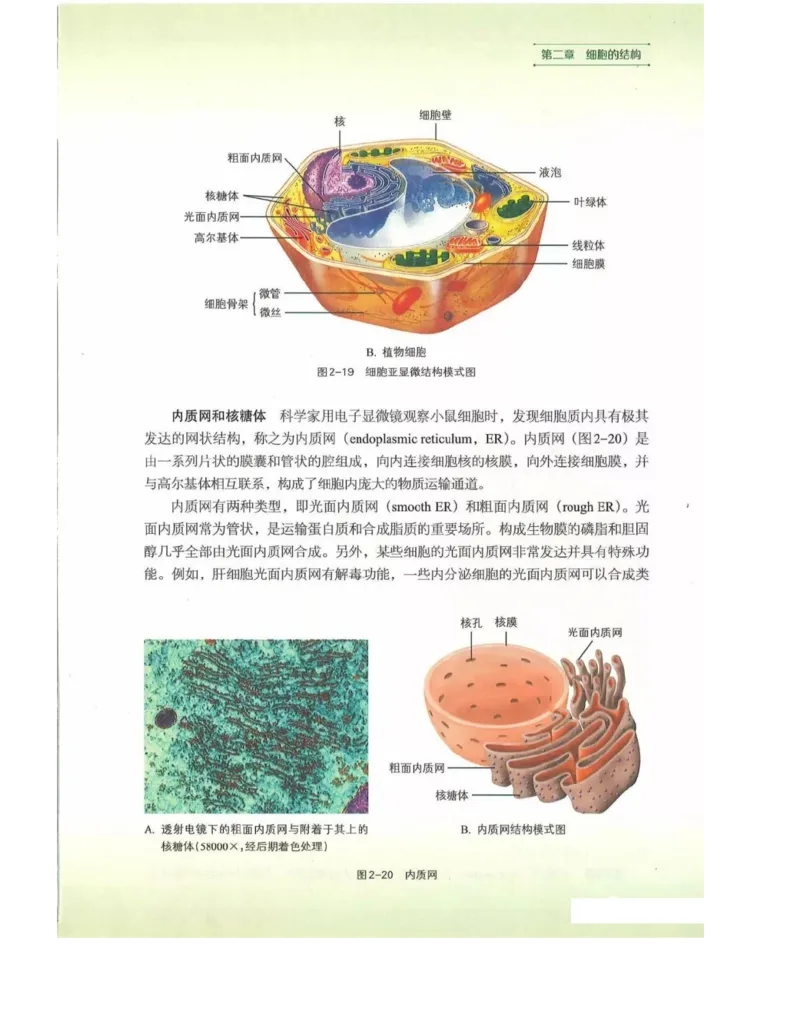 新浙科版高中生物必修1《分子与细胞》_高中电子课本_最新版高中全科高清电子课本_6高中生物课本_2019新人教版