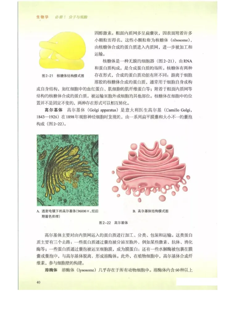 新浙科版高中生物必修1《分子与细胞》_高中电子课本_最新版高中全科高清电子课本_6高中生物课本_2019新人教版