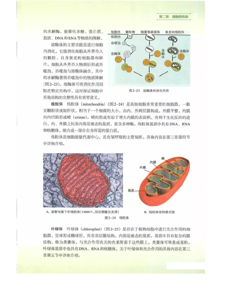 新浙科版高中生物必修1《分子与细胞》_高中电子课本_最新版高中全科高清电子课本_6高中生物课本_2019新人教版
