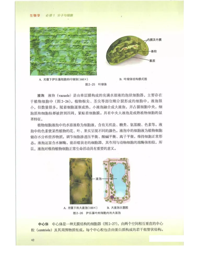 新浙科版高中生物必修1《分子与细胞》_高中电子课本_最新版高中全科高清电子课本_6高中生物课本_2019新人教版