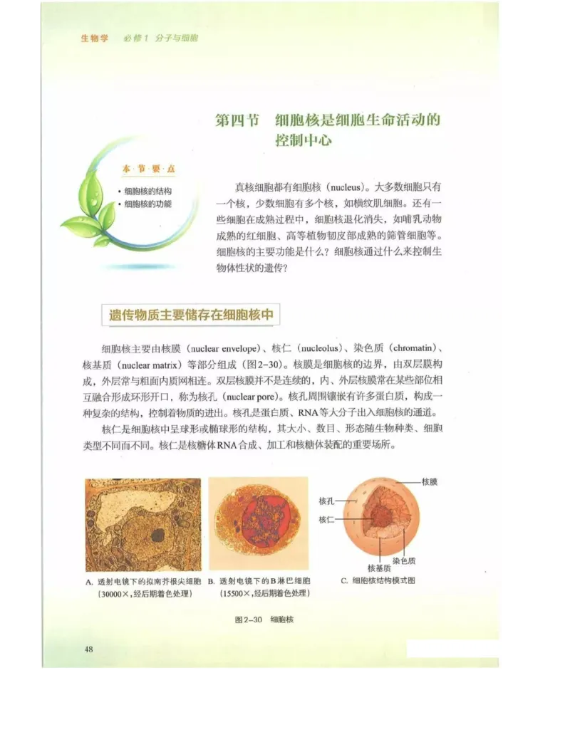 新浙科版高中生物必修1《分子与细胞》_高中电子课本_最新版高中全科高清电子课本_6高中生物课本_2019新人教版