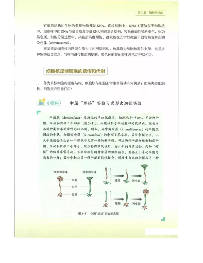 新浙科版高中生物必修1《分子与细胞》_高中电子课本_最新版高中全科高清电子课本_6高中生物课本_2019新人教版