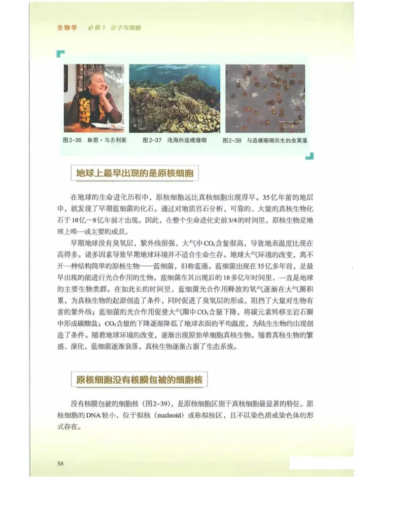 新浙科版高中生物必修1《分子与细胞》_高中电子课本_最新版高中全科高清电子课本_6高中生物课本_2019新人教版