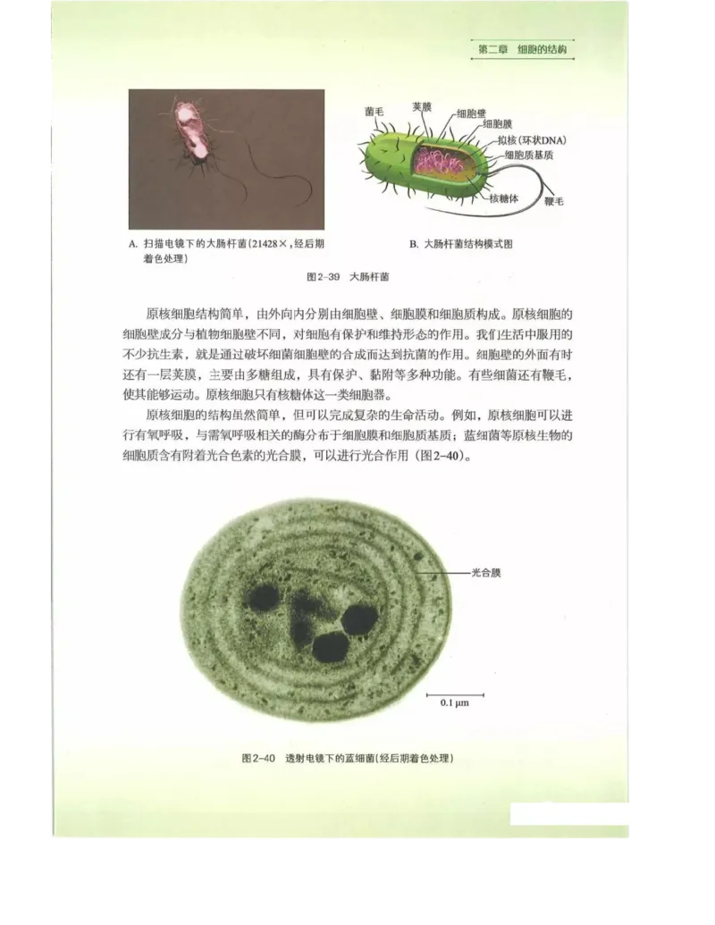 新浙科版高中生物必修1《分子与细胞》_高中电子课本_最新版高中全科高清电子课本_6高中生物课本_2019新人教版
