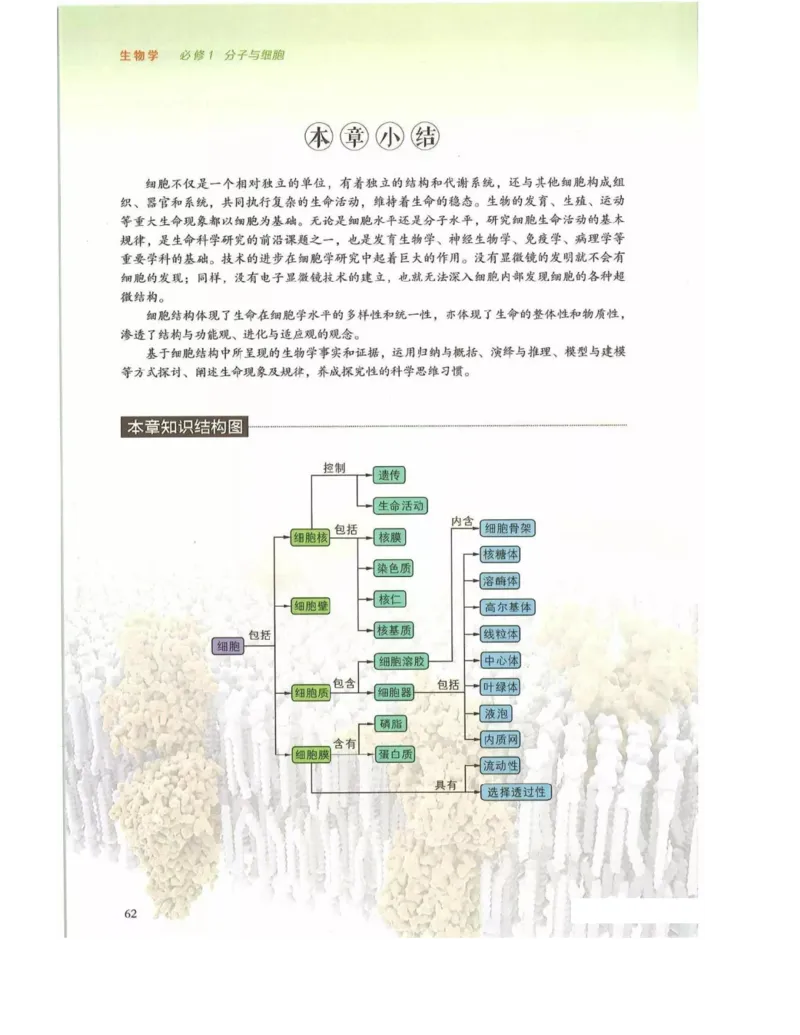 新浙科版高中生物必修1《分子与细胞》_高中电子课本_最新版高中全科高清电子课本_6高中生物课本_2019新人教版