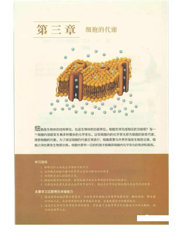 新浙科版高中生物必修1《分子与细胞》_高中电子课本_最新版高中全科高清电子课本_6高中生物课本_2019新人教版