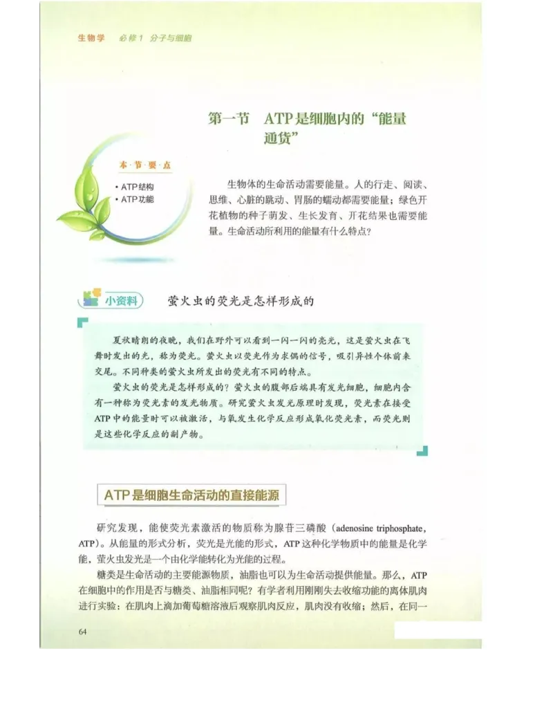 新浙科版高中生物必修1《分子与细胞》_高中电子课本_最新版高中全科高清电子课本_6高中生物课本_2019新人教版