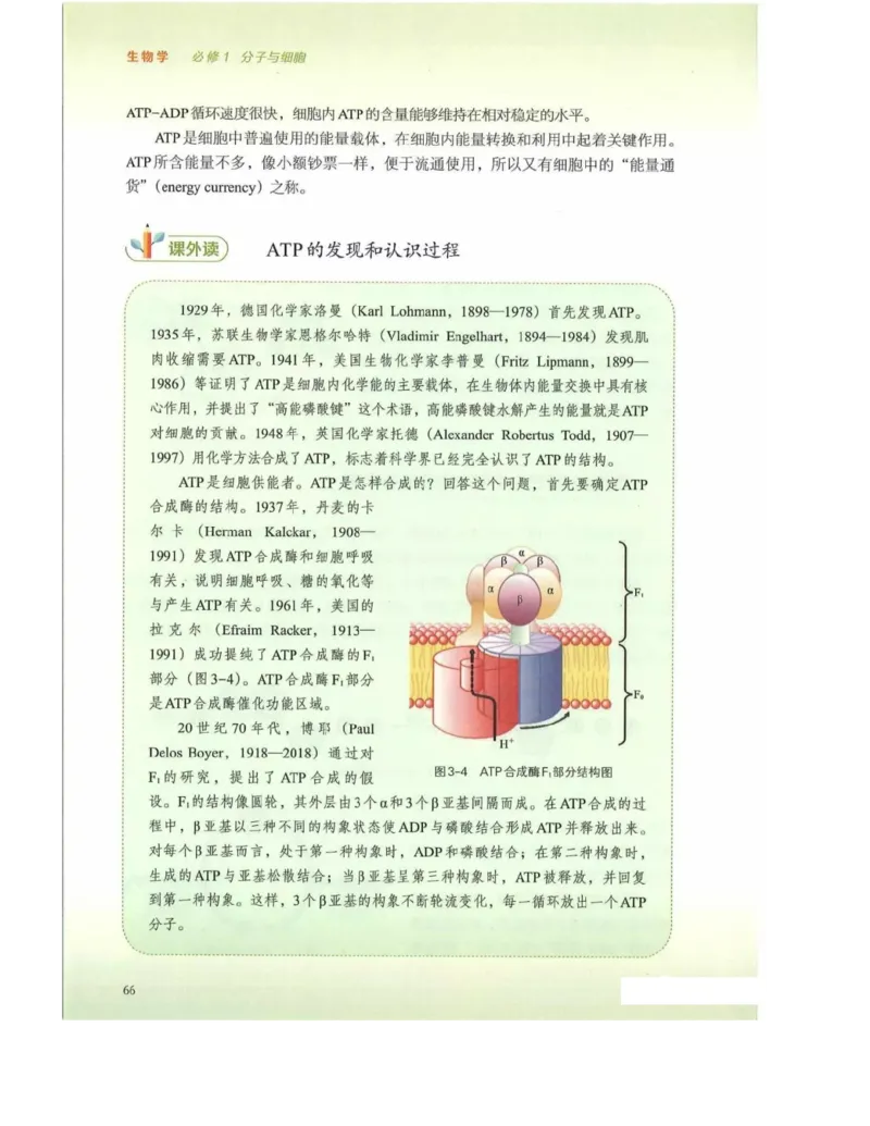 新浙科版高中生物必修1《分子与细胞》_高中电子课本_最新版高中全科高清电子课本_6高中生物课本_2019新人教版