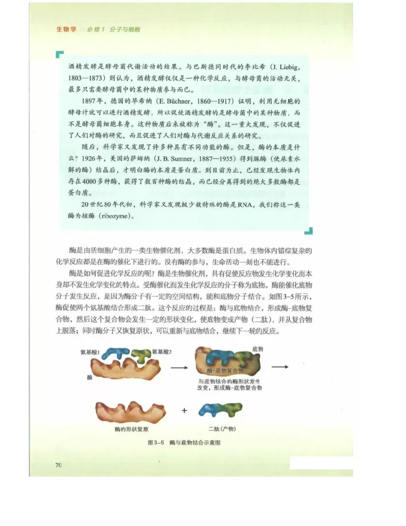 新浙科版高中生物必修1《分子与细胞》_高中电子课本_最新版高中全科高清电子课本_6高中生物课本_2019新人教版