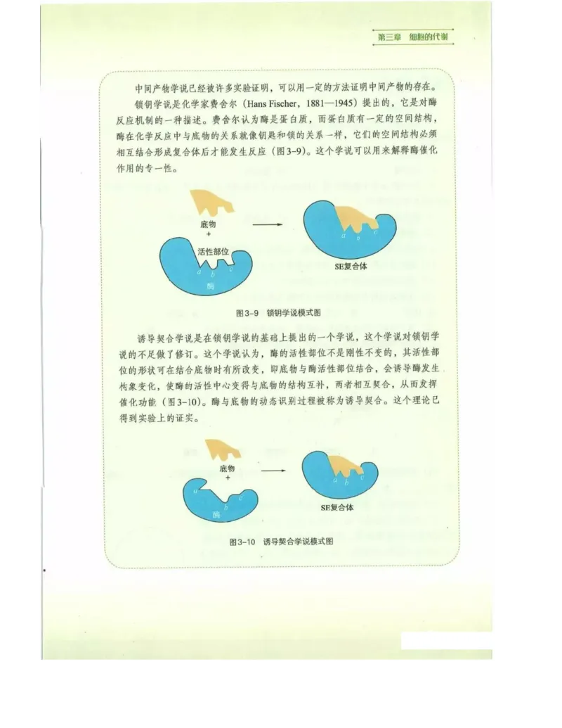 新浙科版高中生物必修1《分子与细胞》_高中电子课本_最新版高中全科高清电子课本_6高中生物课本_2019新人教版