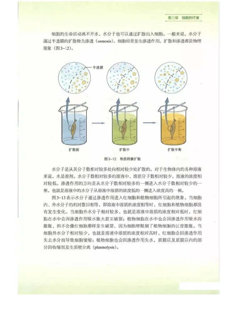 新浙科版高中生物必修1《分子与细胞》_高中电子课本_最新版高中全科高清电子课本_6高中生物课本_2019新人教版