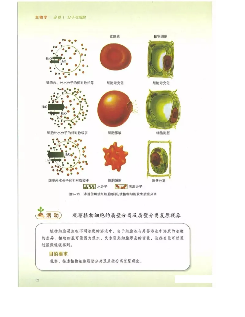 新浙科版高中生物必修1《分子与细胞》_高中电子课本_最新版高中全科高清电子课本_6高中生物课本_2019新人教版
