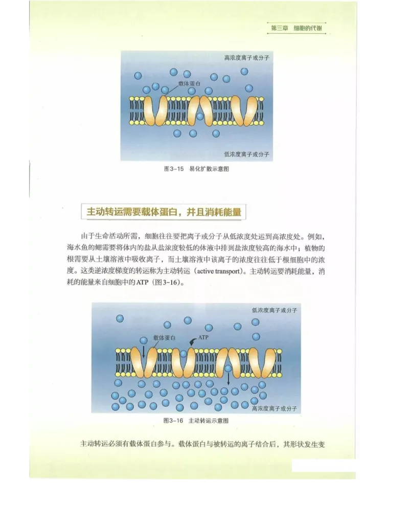 新浙科版高中生物必修1《分子与细胞》_高中电子课本_最新版高中全科高清电子课本_6高中生物课本_2019新人教版