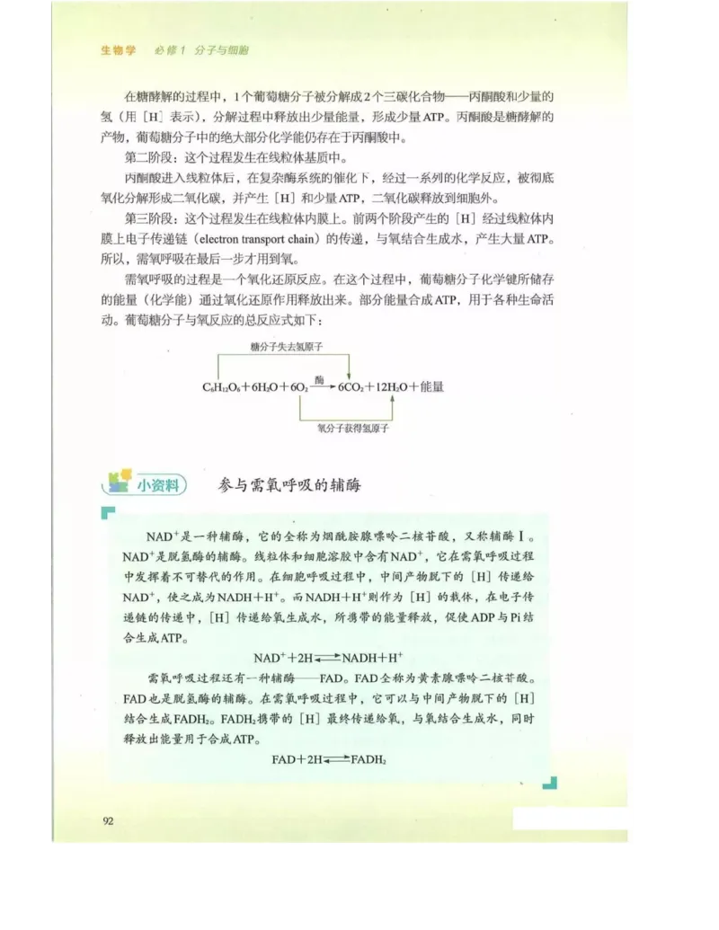 新浙科版高中生物必修1《分子与细胞》_高中电子课本_最新版高中全科高清电子课本_6高中生物课本_2019新人教版