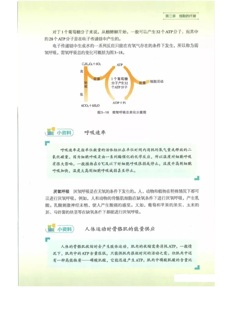 新浙科版高中生物必修1《分子与细胞》_高中电子课本_最新版高中全科高清电子课本_6高中生物课本_2019新人教版
