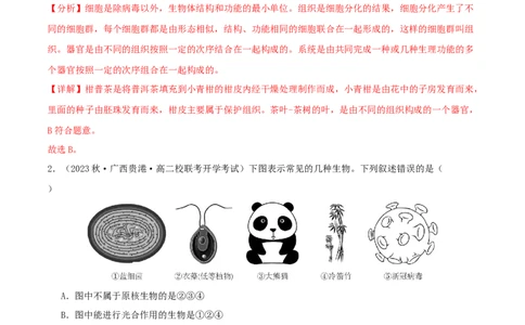专题综合练01细胞的组成物质以及结构和功能(解析版)_新高考复习资料_2024年新高考复习资料_一轮复习资料_完备战2024年高考生物一轮复习考点帮（新高考）_必修1