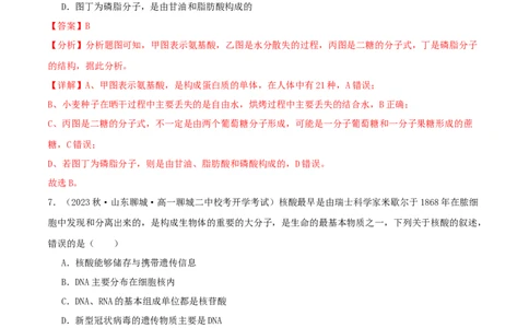 专题综合练01细胞的组成物质以及结构和功能(解析版)_新高考复习资料_2024年新高考复习资料_一轮复习资料_完备战2024年高考生物一轮复习考点帮（新高考）_必修1