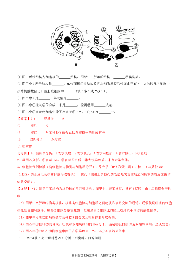 专题综合练01细胞的组成物质以及结构和功能(解析版)_新高考复习资料_2024年新高考复习资料_一轮复习资料_完备战2024年高考生物一轮复习考点帮（新高考）_必修1