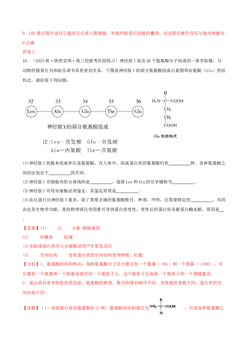 专题综合练01细胞的组成物质以及结构和功能(解析版)_新高考复习资料_2024年新高考复习资料_一轮复习资料_完备战2024年高考生物一轮复习考点帮（新高考）_必修1