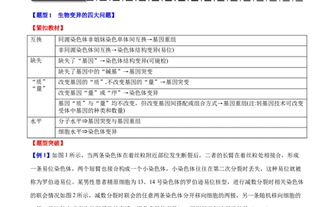 专题六生物的变异与进化（解析版）_2025年新高考资料_二轮复习_01高考语文等多个文件_举一反三2025年高考生物二轮重点专题讲义（新高考通用）