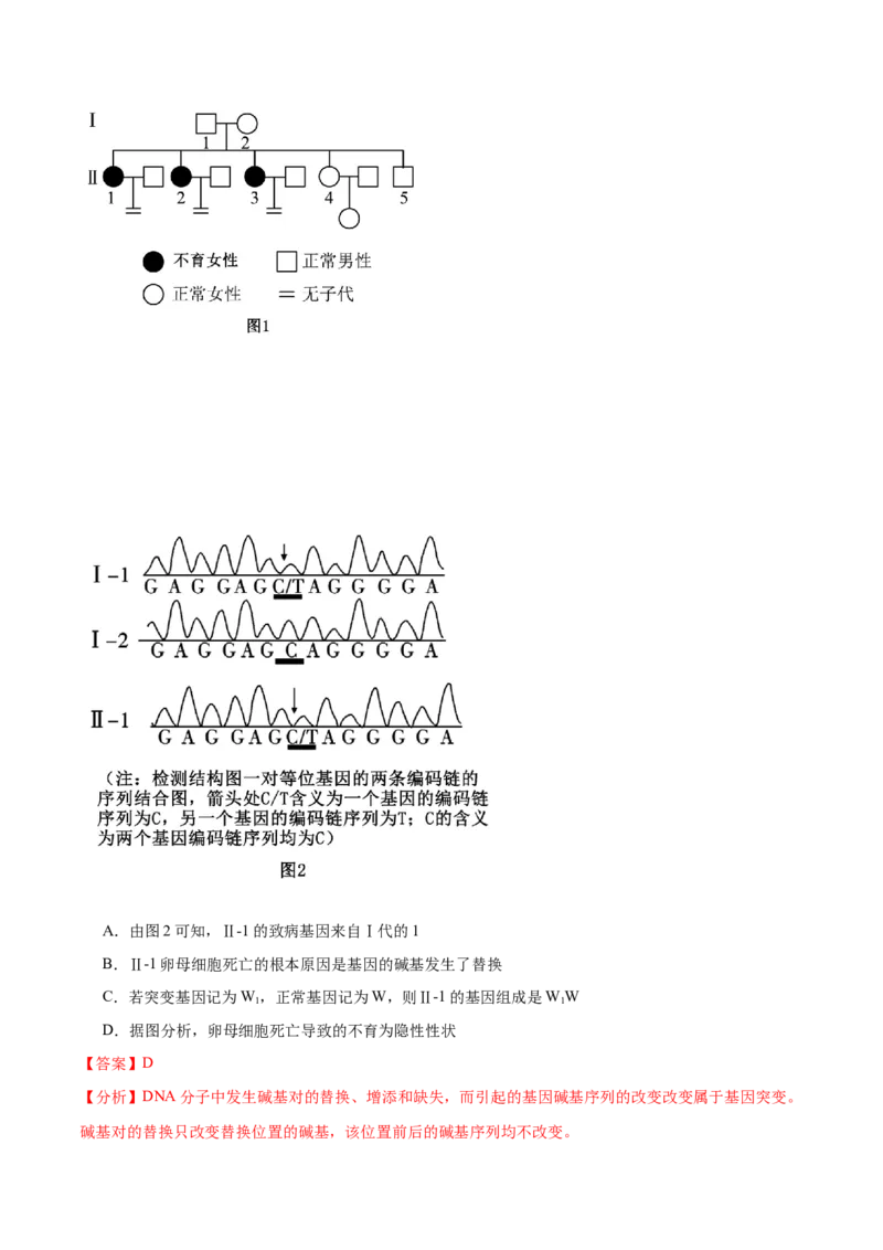 专题六生物的变异与进化（解析版）_2025年新高考资料_二轮复习_01高考语文等多个文件_举一反三2025年高考生物二轮重点专题讲义（新高考通用）