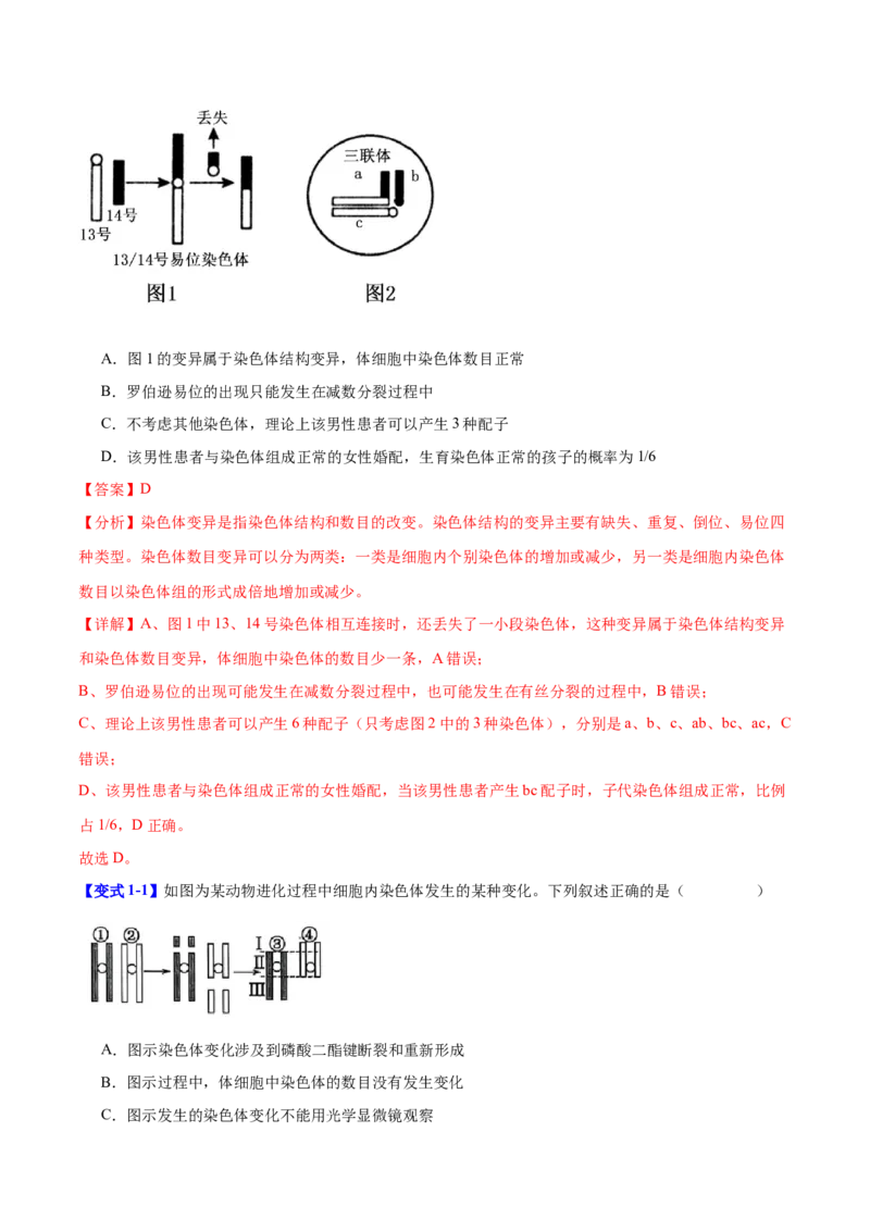 专题六生物的变异与进化（解析版）_2025年新高考资料_二轮复习_01高考语文等多个文件_举一反三2025年高考生物二轮重点专题讲义（新高考通用）