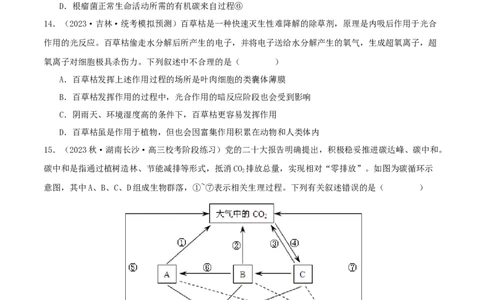专题综合练10种群、群落和生态系统(原卷版)_新高考复习资料_2024年新高考复习资料_一轮复习资料_完备战2024年高考生物一轮复习考点帮（新高考）_选择性必修2