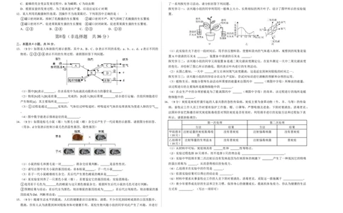 生物（贵阳卷）（考试版A3）_初中全科电子版试卷练习试题_生物_2024中考模拟题生物(1)_三模（37套）_生物（贵州贵阳卷）