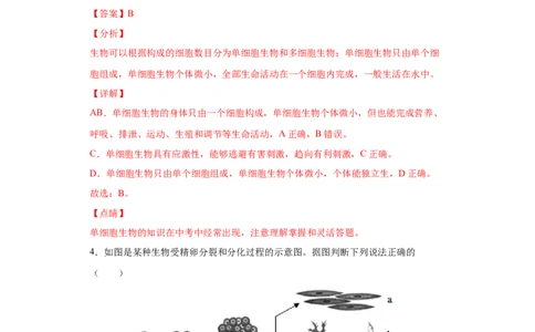 期末检测卷04-（人教版）（解析版）_初中全科电子版试卷练习试题_生物_生物人教版7上练习&mdash;24新版已更新_人教生物7年级上期末试卷11份