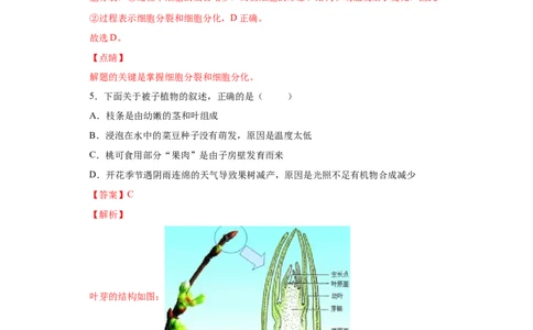 期末检测卷04-（人教版）（解析版）_初中全科电子版试卷练习试题_生物_生物人教版7上练习&mdash;24新版已更新_人教生物7年级上期末试卷11份