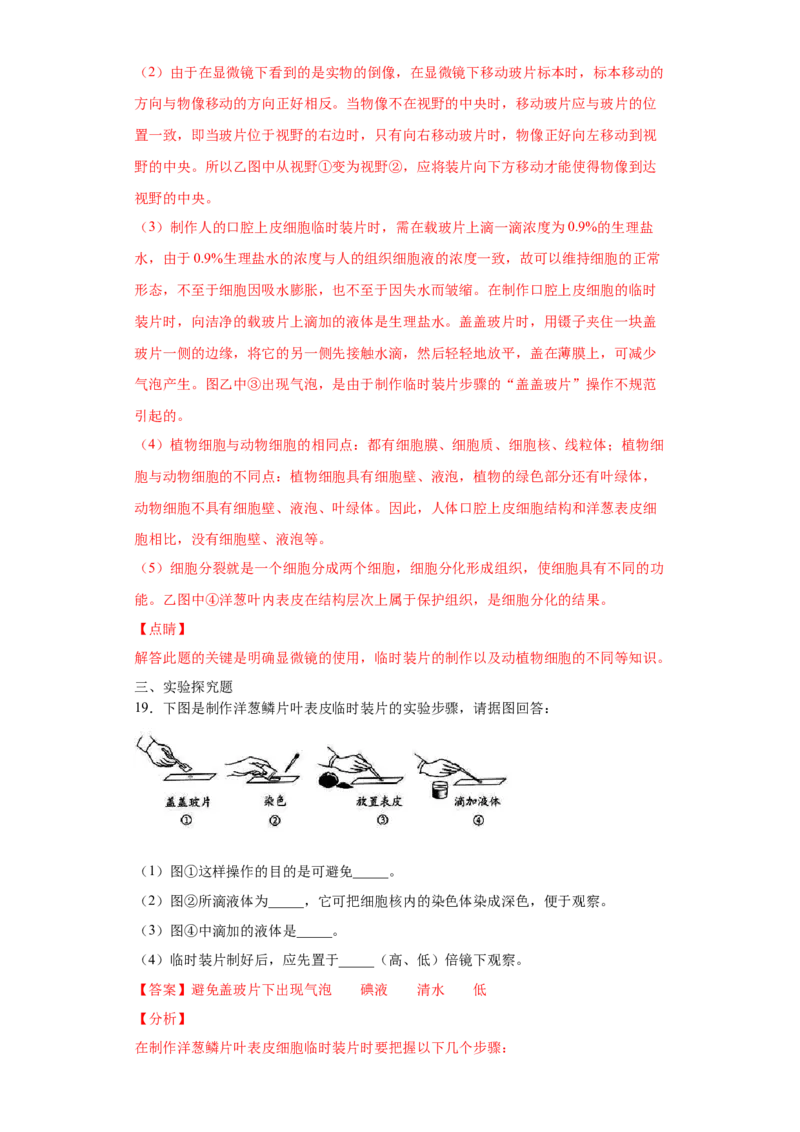 期末检测卷04-（人教版）（解析版）_初中全科电子版试卷练习试题_生物_生物人教版7上练习&mdash;24新版已更新_人教生物7年级上期末试卷11份