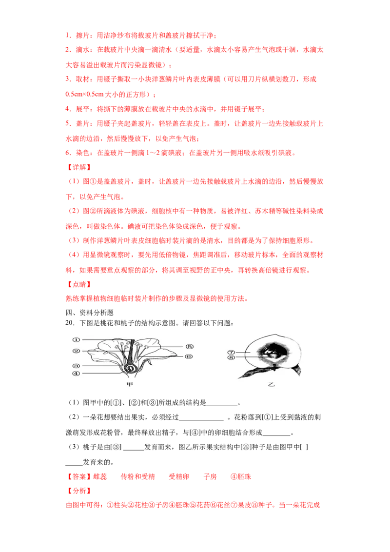 期末检测卷04-（人教版）（解析版）_初中全科电子版试卷练习试题_生物_生物人教版7上练习&mdash;24新版已更新_人教生物7年级上期末试卷11份
