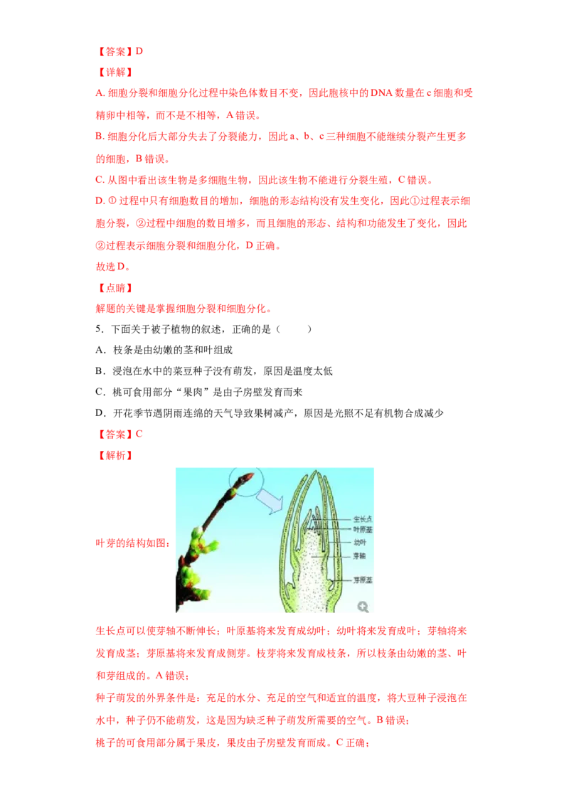 期末检测卷04-（人教版）（解析版）_初中全科电子版试卷练习试题_生物_生物人教版7上练习&mdash;24新版已更新_人教生物7年级上期末试卷11份