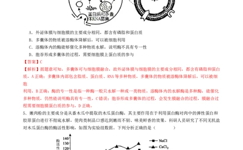 专题二细胞的能量供应和利用（解析版）_2025年新高考资料_二轮复习_上好课2025年高考生物二轮复习讲练测（新高考通用）3380526