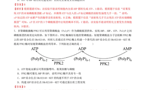 专题二细胞的能量供应和利用（解析版）_2025年新高考资料_二轮复习_上好课2025年高考生物二轮复习讲练测（新高考通用）3380526