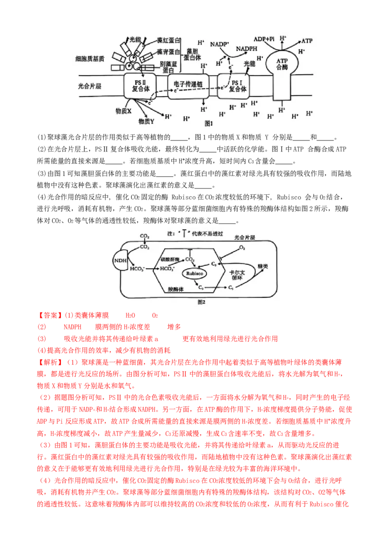 专题二细胞的能量供应和利用（解析版）_2025年新高考资料_二轮复习_上好课2025年高考生物二轮复习讲练测（新高考通用）3380526