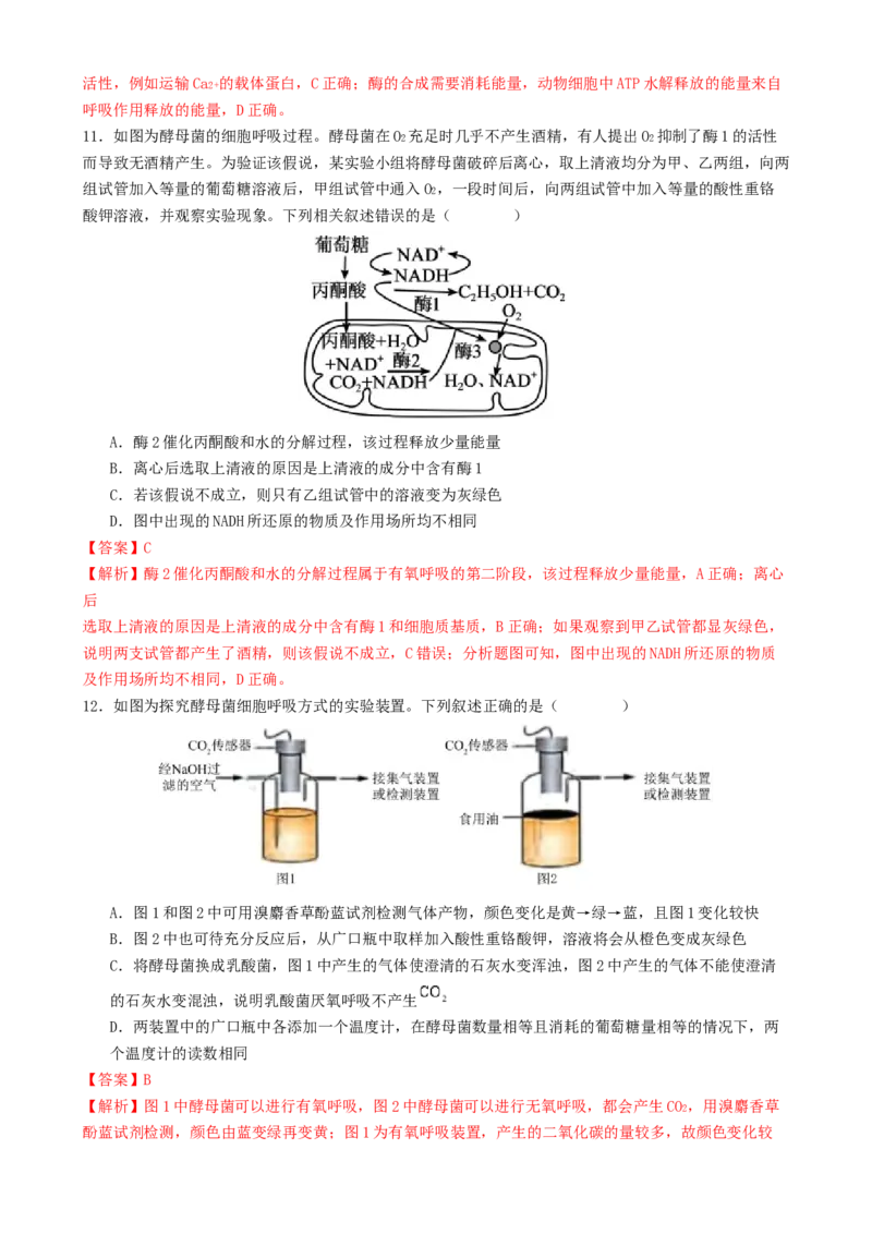 专题二细胞的能量供应和利用（解析版）_2025年新高考资料_二轮复习_上好课2025年高考生物二轮复习讲练测（新高考通用）3380526