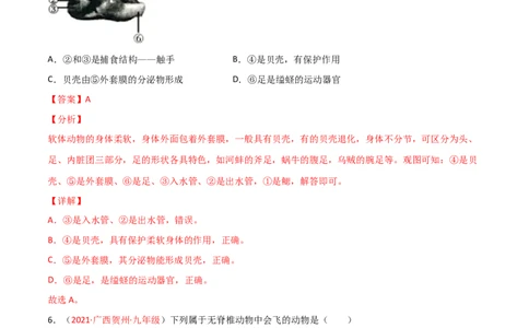 期末测试（A卷&middot;夯实基础）（解析版）_初中全科电子版试卷练习试题_生物_生物8上练习_人教生物8年级上期末试卷10份