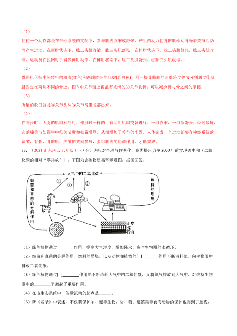 期末测试（A卷&middot;夯实基础）（解析版）_初中全科电子版试卷练习试题_生物_生物8上练习_人教生物8年级上期末试卷10份