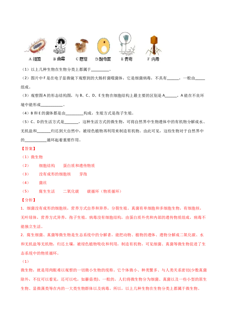期末测试（A卷&middot;夯实基础）（解析版）_初中全科电子版试卷练习试题_生物_生物8上练习_人教生物8年级上期末试卷10份