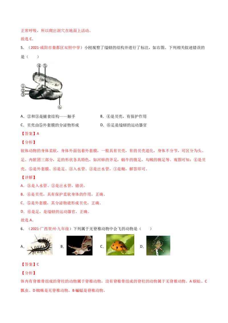 期末测试（A卷&middot;夯实基础）（解析版）_初中全科电子版试卷练习试题_生物_生物8上练习_人教生物8年级上期末试卷10份