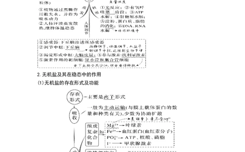 专题一细胞的分子组成、结构和物质运输（原卷版）_新高考复习资料_2023年新高考复习资料_二轮复习_过二轮备战2023年高考生物二轮专题剖析与综合训练（新教材）