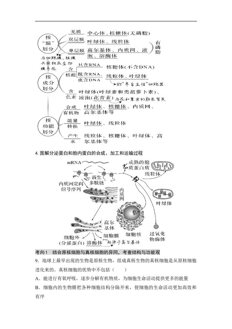 专题一细胞的分子组成、结构和物质运输（原卷版）_新高考复习资料_2023年新高考复习资料_二轮复习_过二轮备战2023年高考生物二轮专题剖析与综合训练（新教材）