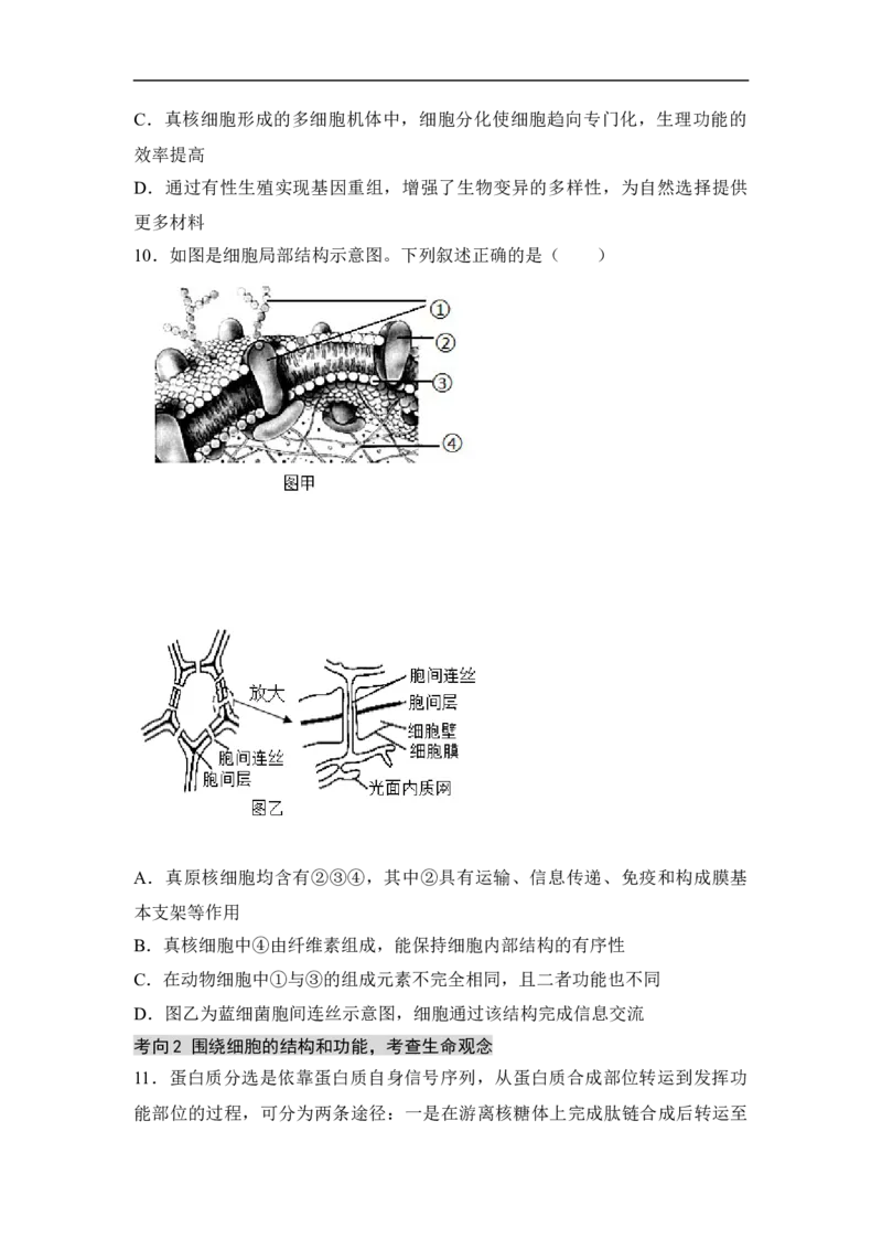 专题一细胞的分子组成、结构和物质运输（原卷版）_新高考复习资料_2023年新高考复习资料_二轮复习_过二轮备战2023年高考生物二轮专题剖析与综合训练（新教材）