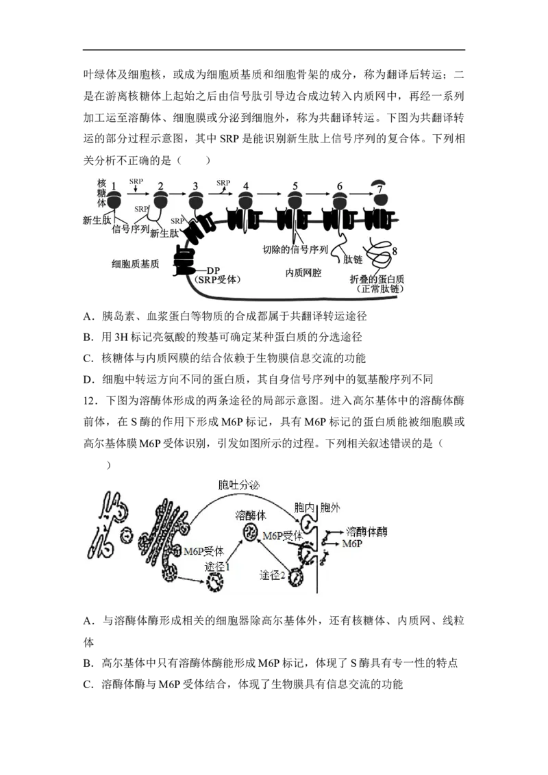专题一细胞的分子组成、结构和物质运输（原卷版）_新高考复习资料_2023年新高考复习资料_二轮复习_过二轮备战2023年高考生物二轮专题剖析与综合训练（新教材）